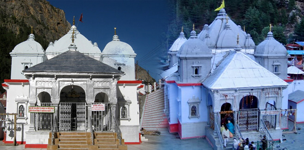 Gangotri_6_990x490