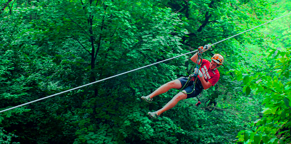 Zipline_990x490._2